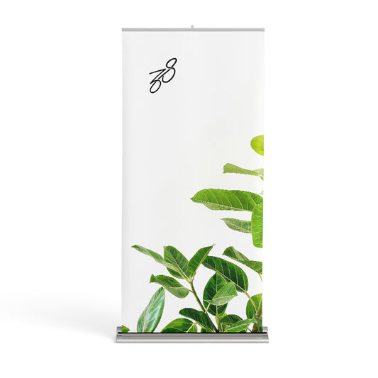 Pull Up Banner