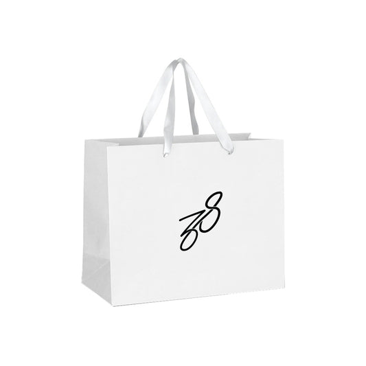 Large Paper Bag